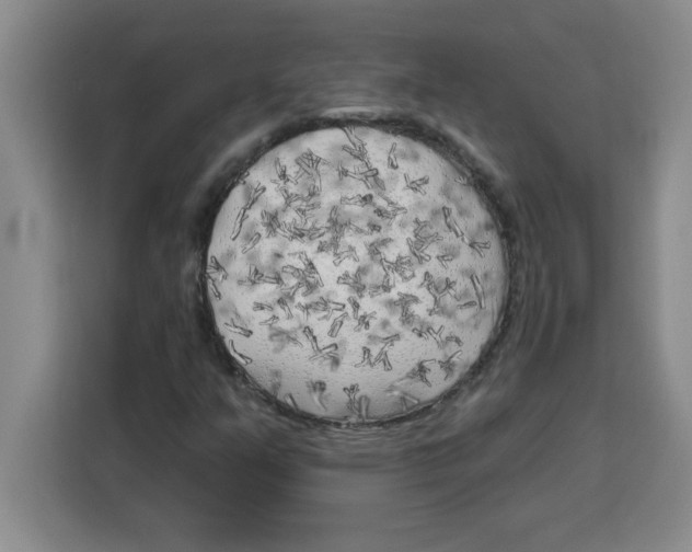 X0000113921351200910221345