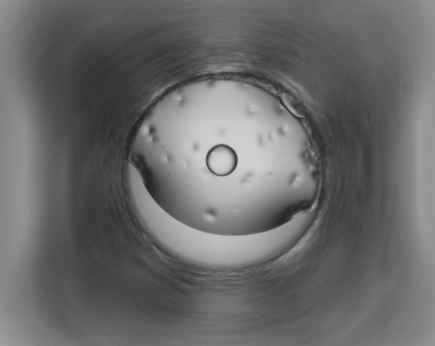 X0000113921353200910221345