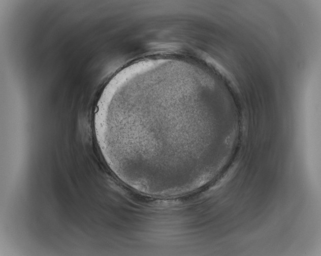 X0000113921354200910221345