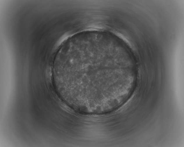 X0000113921355200910221345