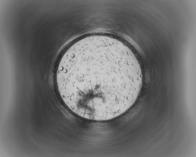 X0000113921356200910221345
