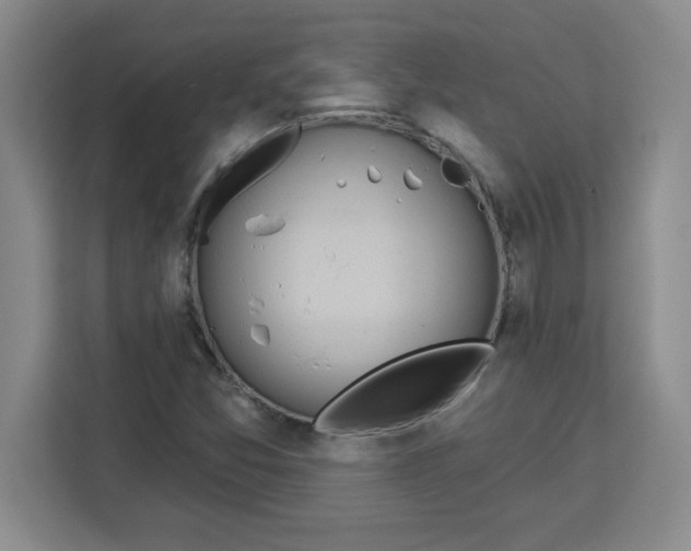 X0000113921357200910221345