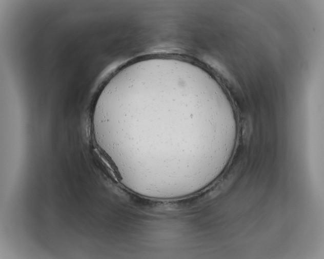 X0000113921358200910221345