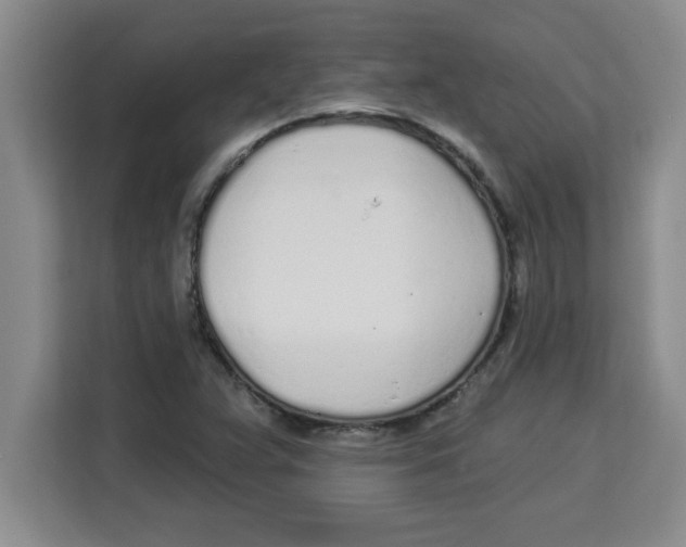X0000113921359200910221345