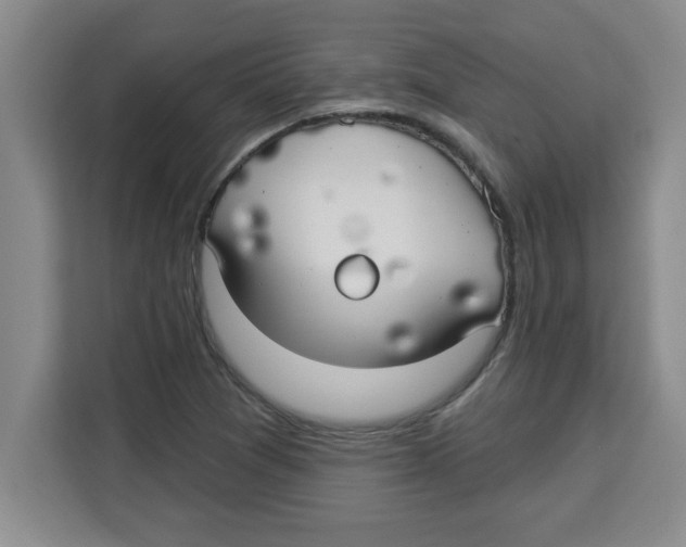 X0000113921361200910221345