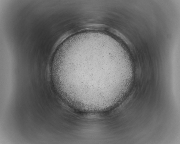X0000113921362200910221345