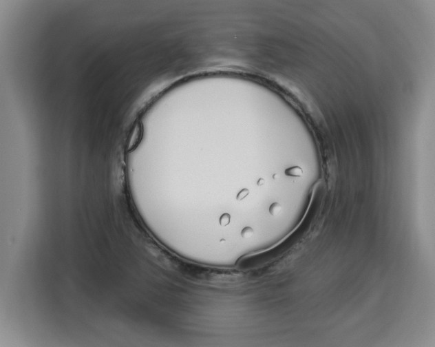X0000113921363200910221345