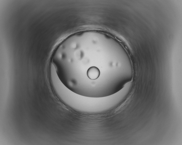 X0000113921365200910221345