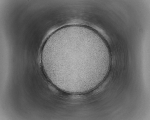 X0000113921366200910221345