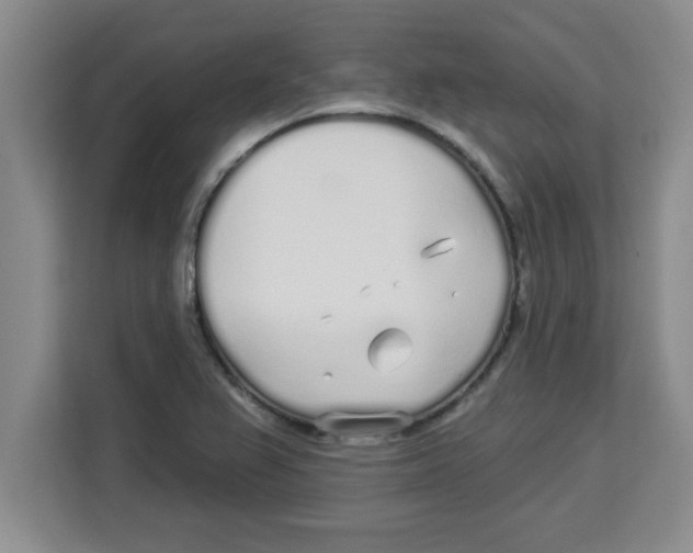 X0000113921367200910221345