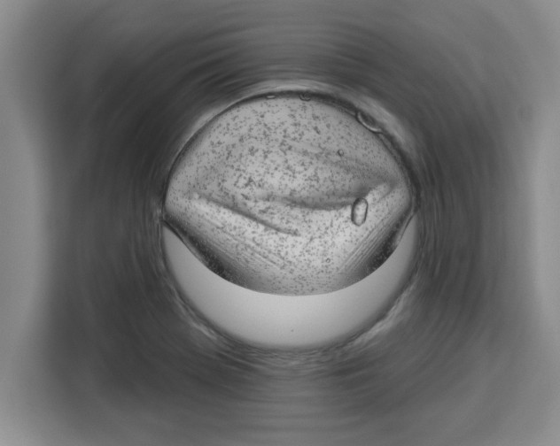 X0000113921369200910221345