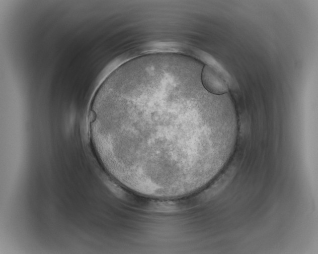 X0000113921370200910221345