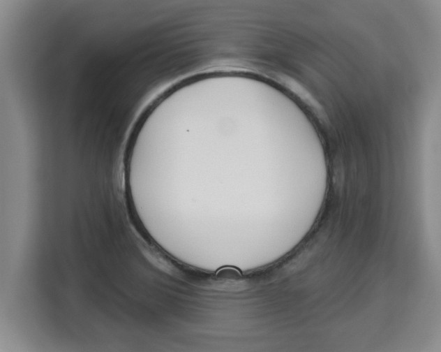 X0000113921372200910221345