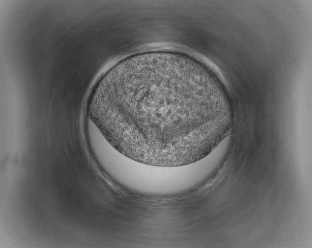 X0000113921373200910221345