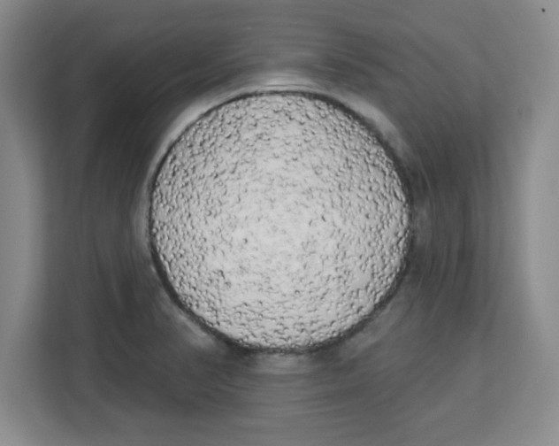 X0000113921374200910221345