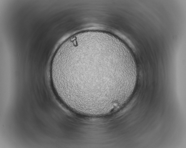 X0000113921375200910221345