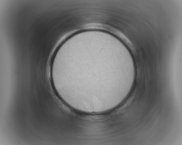 X0000113921376200910221345