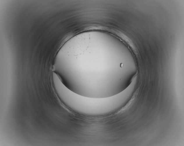 X0000113921377200910221345