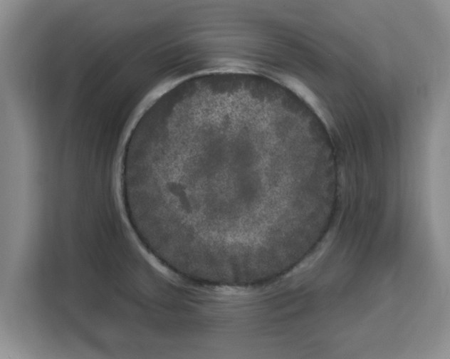 X0000113921379200910221345