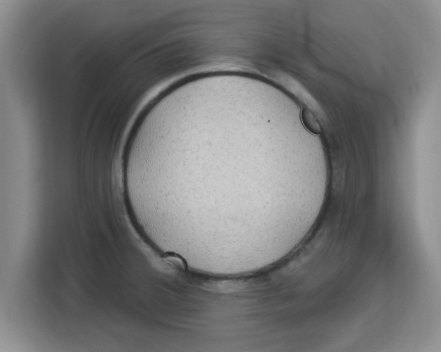 X0000113921380200910221345