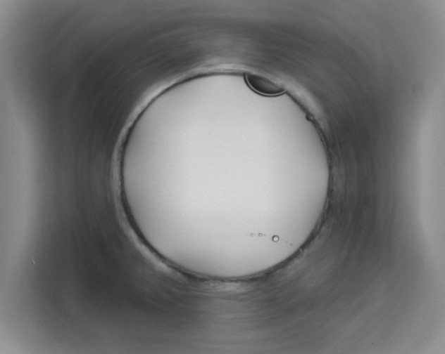 X0000113921382200910221345