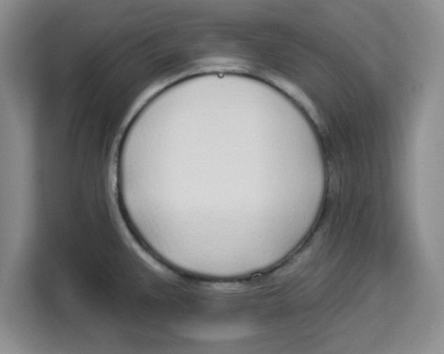 X0000113921383200910221345