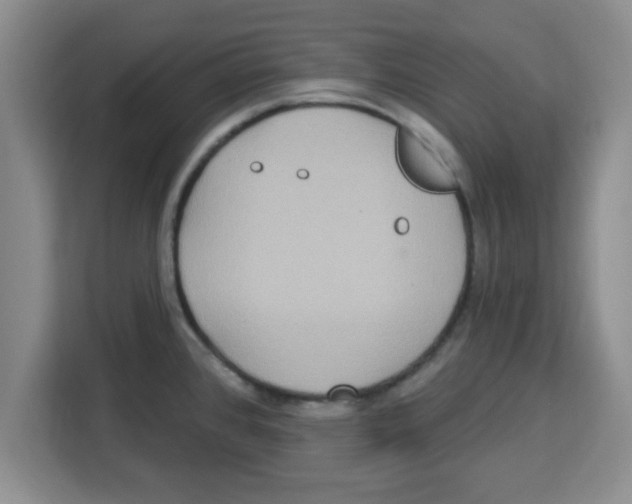 X0000113921384200910221345