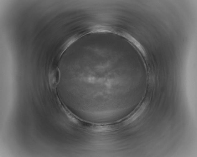 X0000113921385200910221345