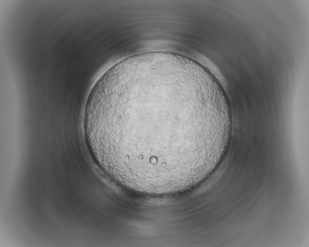 X0000113921386200910221345