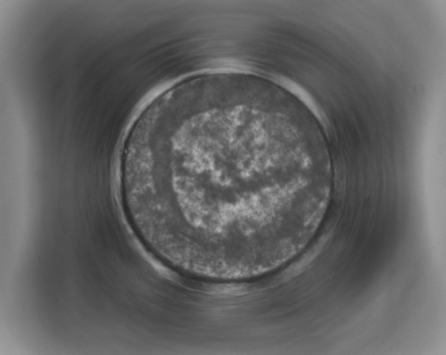 X0000113921387200910221345