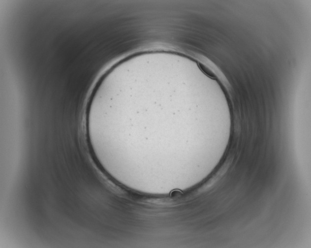 X0000113921388200910221345