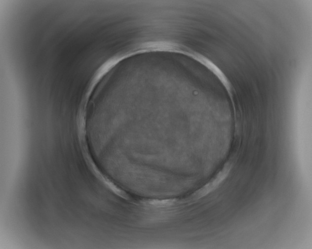 X0000113921389200910221345