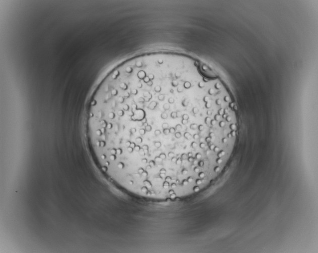X0000113921390200910221345