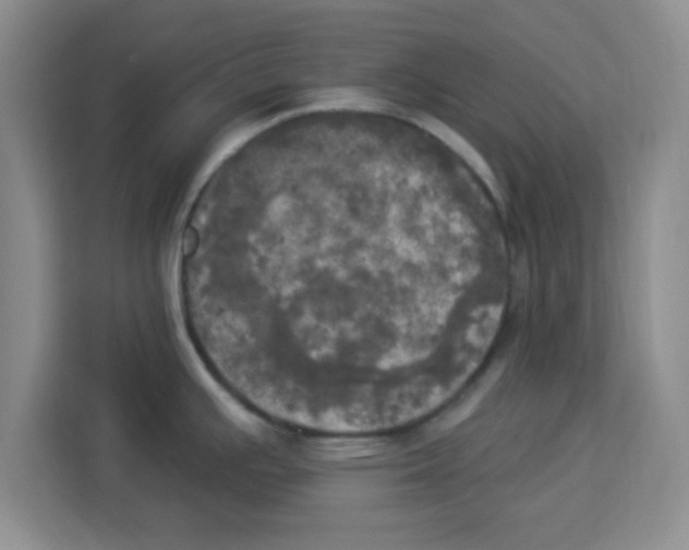X0000113921391200910221345