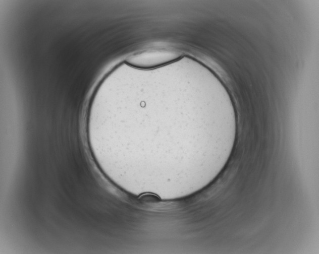 X0000113921392200910221345