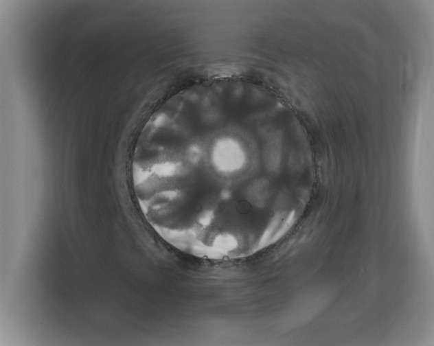 X0000113921393200910221344