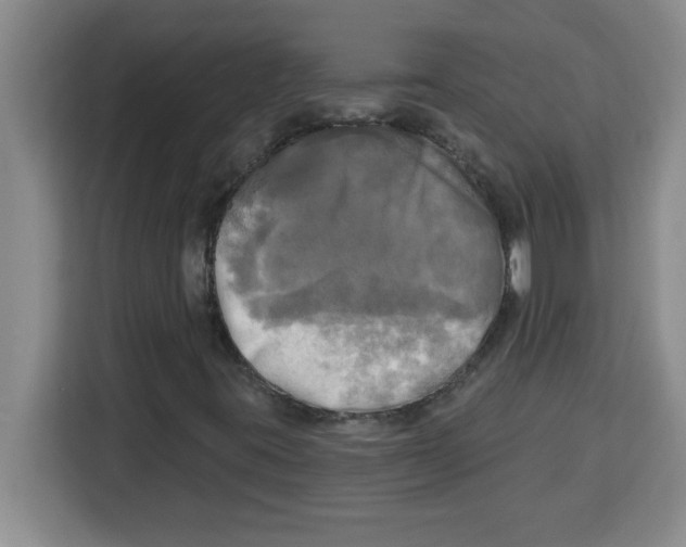 X0000113921395200910221344