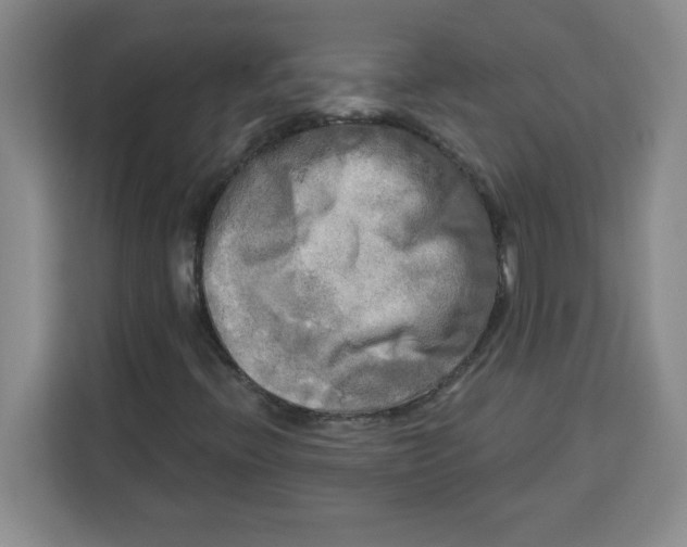X0000113921396200910221344