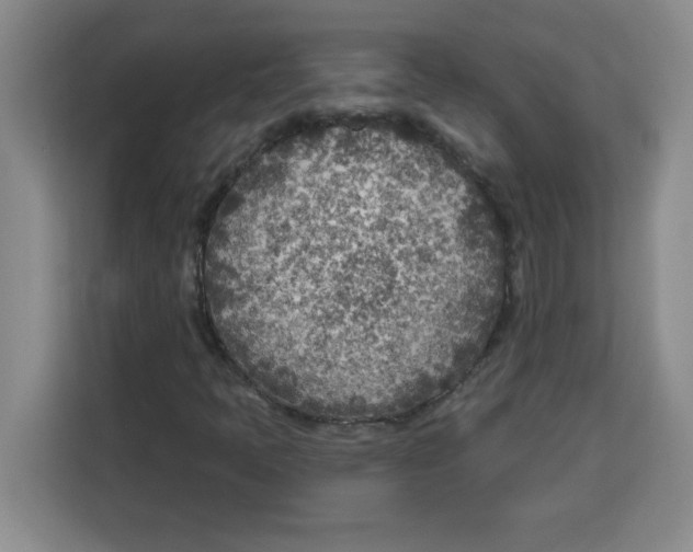 X0000113921397200910221344