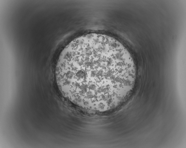 X0000113921398200910221344