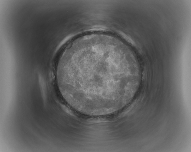 X0000113921400200910221344