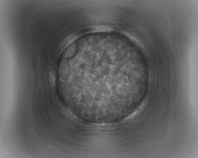 X0000113921401200910221344