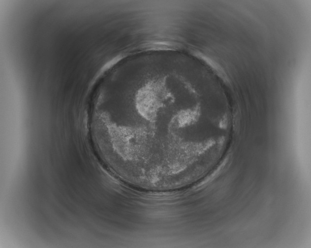 X0000113921402200910221344