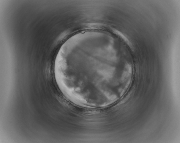 X0000113921403200910221344
