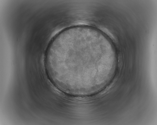 X0000113921404200910221344