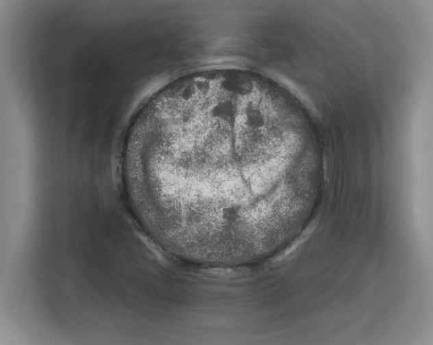 X0000113921405200910221344