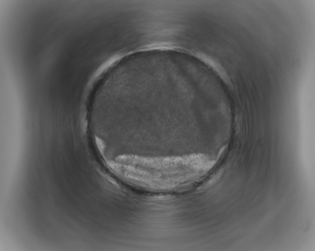 X0000113921406200910221344