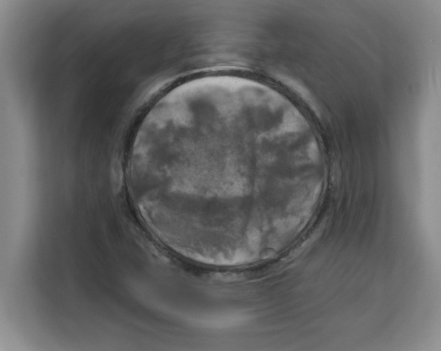 X0000113921407200910221344