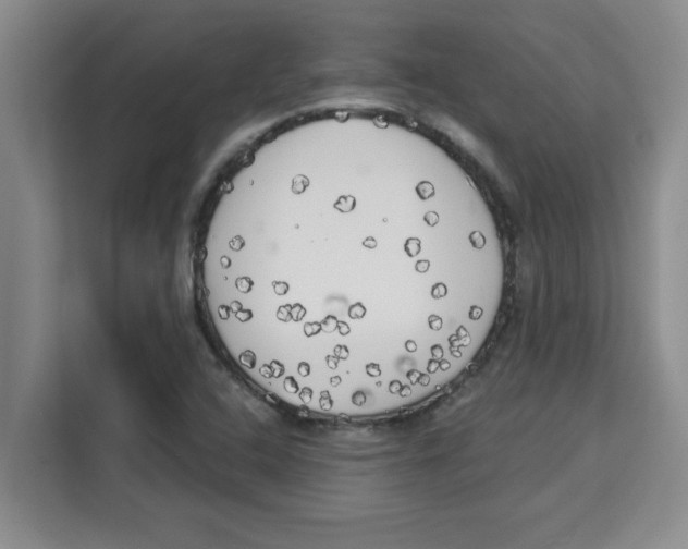 X0000113921408200910221344