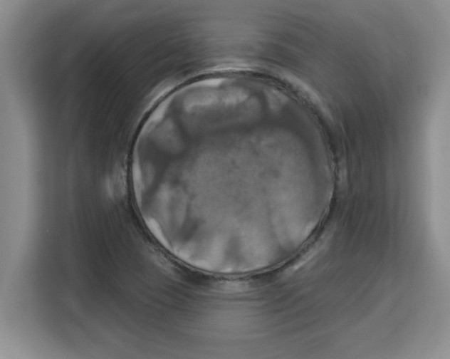 X0000113921409200910221344